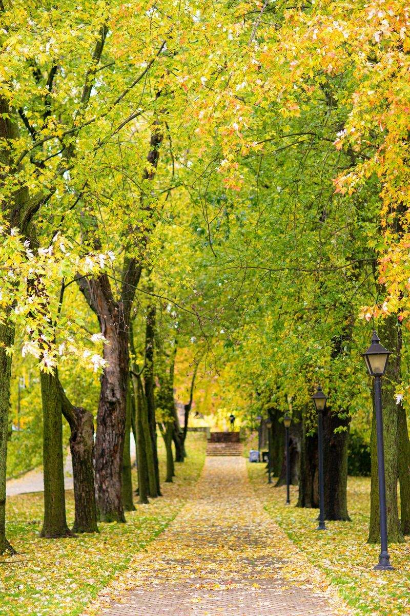 Garden design and planning